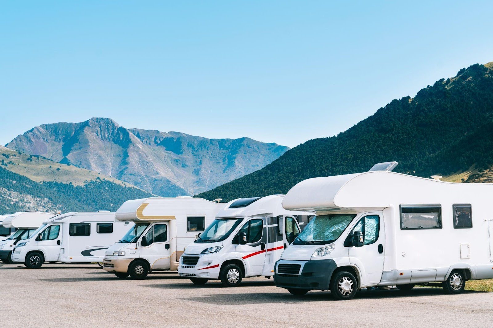 A row of motor homes parked neatly in a spacious parking lot under clear blue skies